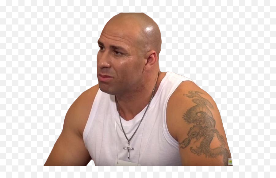 Do Vin Diesel Meme Png - Vin Diesel Cover Png Emoji,Vin Diesel Emotions Meme