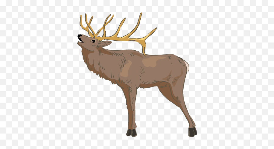 Elk - Transparent Elk Hd Png Download Original Size Png Elk No Background Emoji,Elk Emoji
