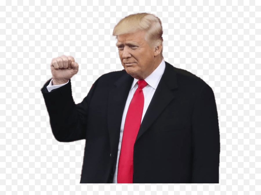 Free Transparent Donald Trump Png - Transparent Trump Png Emoji,Donald Trump Tumblr Emojis