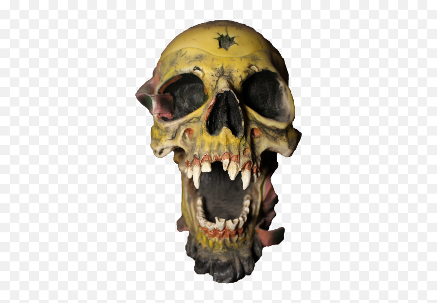 Free Photos Skeleton Pirate Search Download - Needpixcom Head Bone Scary Emoji,Emotions Of A Skull
