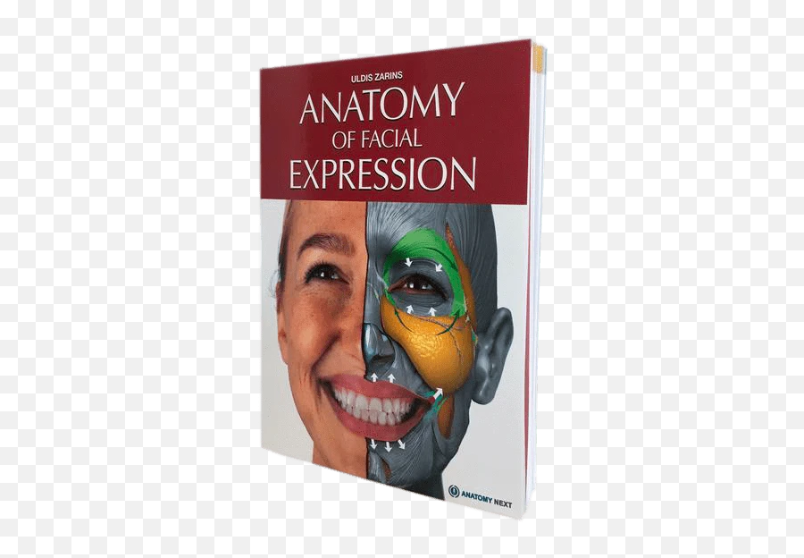 Facial Expressions Anatomy For Artists - Anatomy Of Facial Expression Emoji,Emotion With Shoulders Drawing Reference