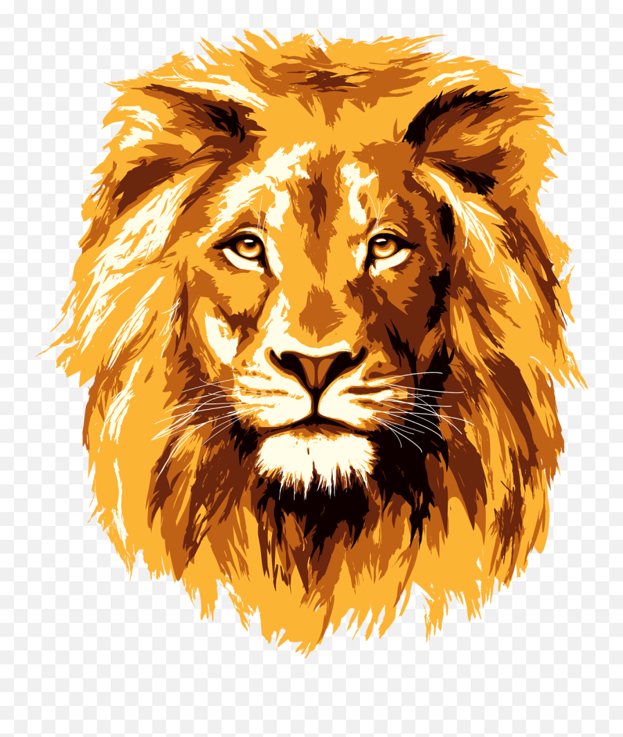 Lion Png - Lion Head Transparent Background Emoji,Lion Face Emoji