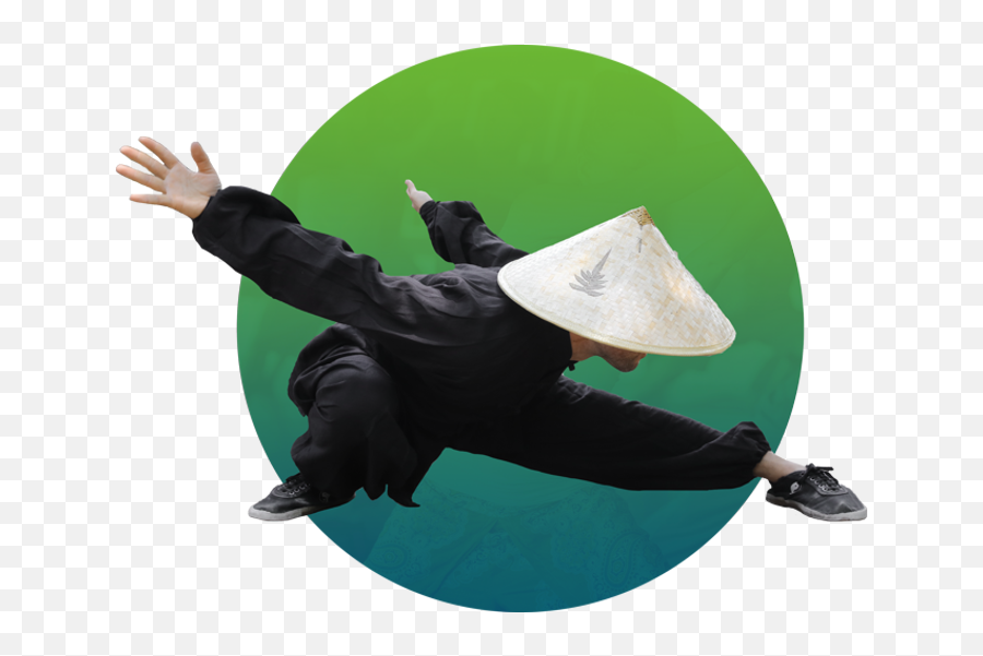 The All - Access Qigong Online Course Bundle White Tiger Qigong Breakdancing Emoji,Qigong Releases Emotions