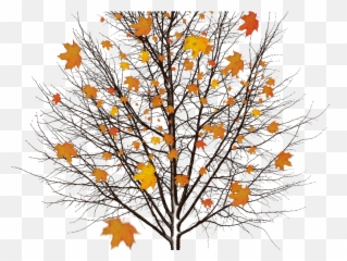 Falling Leaves Autumn Texture Overlay Nature - Grassand Background Tree Without Leaves Emoji,Fall Leaf Emoji