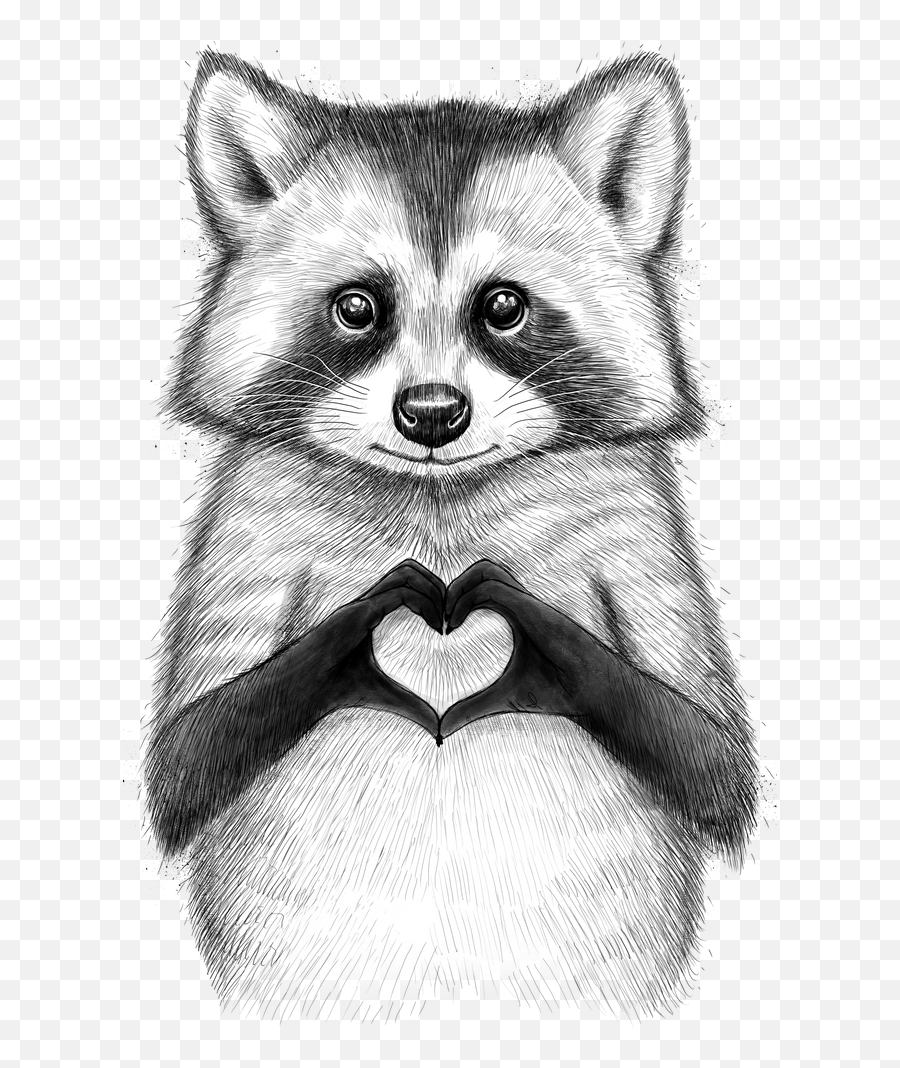 Raccoon With Heart Art Print Emoji,Raccoon Couple Emoji