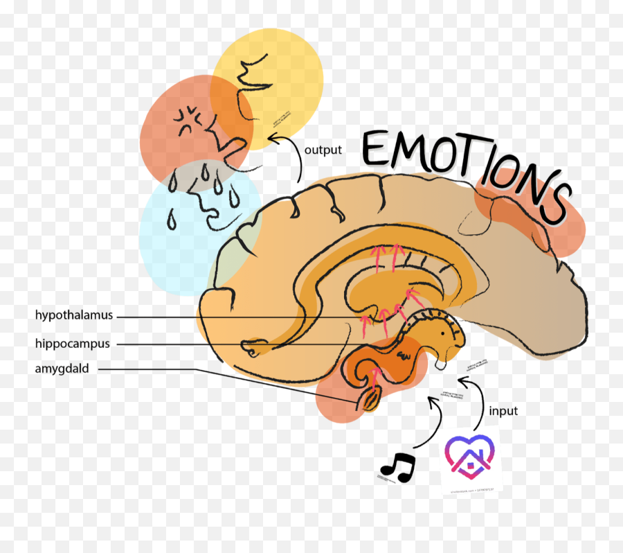 Emoji,Hypothalamus Emotions