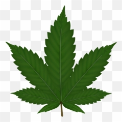 Weed Leaf - Png Cannabis Emoji,Pot Leaf Emoji