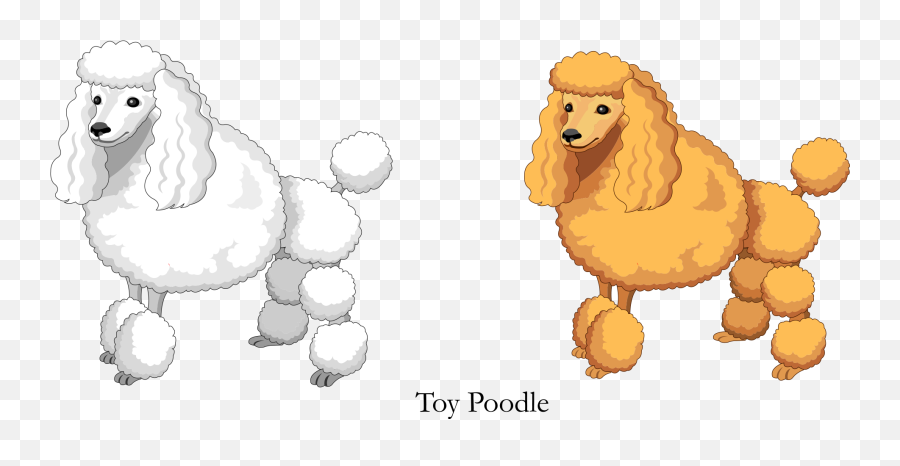 Vector Cartoon Yellow White Toy Poodle Png Download - 1942 Emoji,White Toy Poodle Emoticon