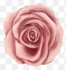 The Most Edited Twigs Picsart Emoji,Flower Emojis Jacaranda