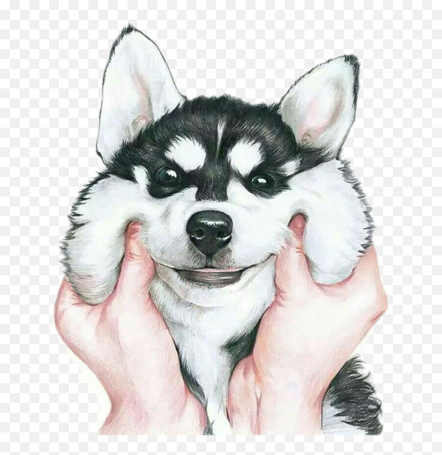 Popular And Trending Huskey Stickers Picsart - Siberian Husky Emoji,Husker Emoji