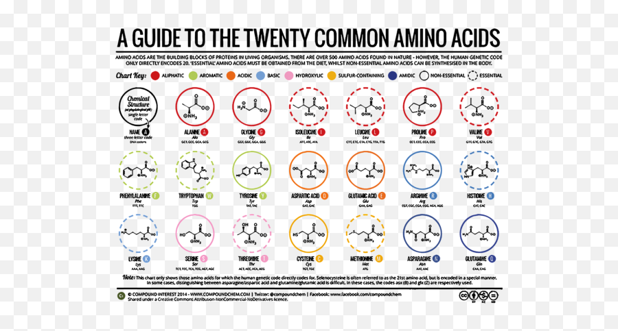 Amino Acids Table Tote Bag - Amino Acid Table With Information Emoji,Throws Tables Emoticon