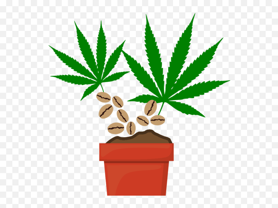 Lab Learning Center Green Cultured Elearning Solutions Emoji,Dispensary Green Cross Emoticon