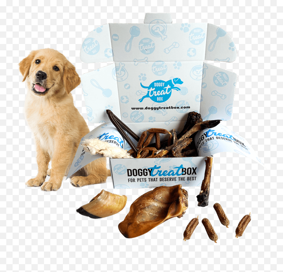 Doggy Treat Box U2013 The Worldu0027s Favourite Monthly Dog Treat Box Emoji,Labrador Retriever Happy Birthday Emoticon