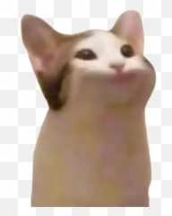 Discord Emojis List Discord Street,Draw Emojis Cats
