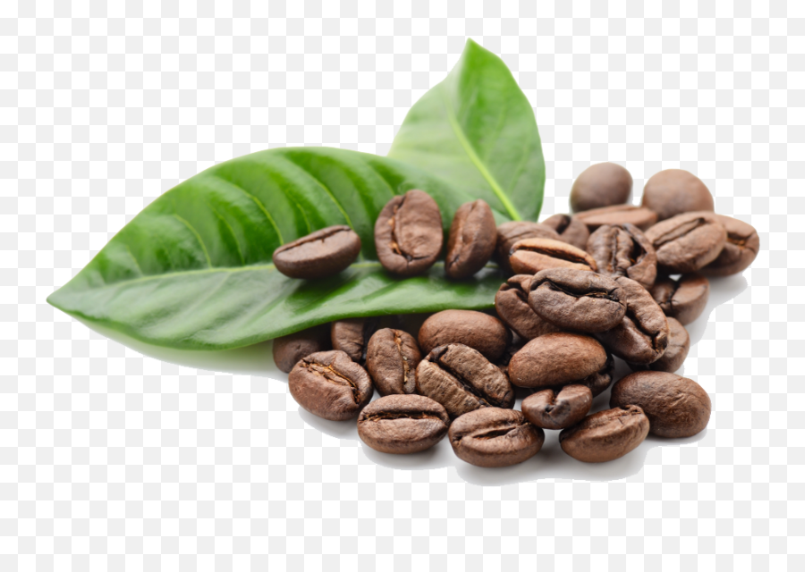 Green Coffee Beans Png See More Of Green Coffee Beans On Emoji,Coffe Emoticon Facebook