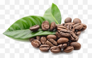 Green Coffee Beans Png See More Of Green Coffee Beans On Emoji,Coffe Emoticon Facebook