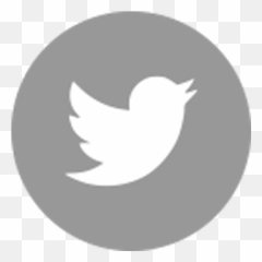 Follow Us - High Point Ireland Emoji,Cork Placenamed Emojis