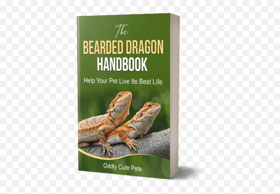 A Bearded Dragon Likes You - Book Cover Emoji,Bearded Dragon Emotions