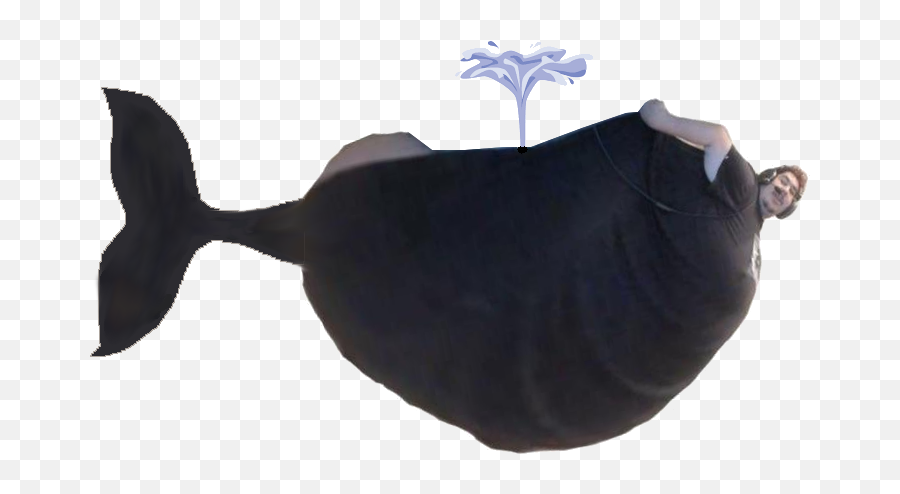 Greek Make This A Emote Know Httpswwwfrankerfacezcom - Greek Is A Whale Emoji,Fish Emoticon