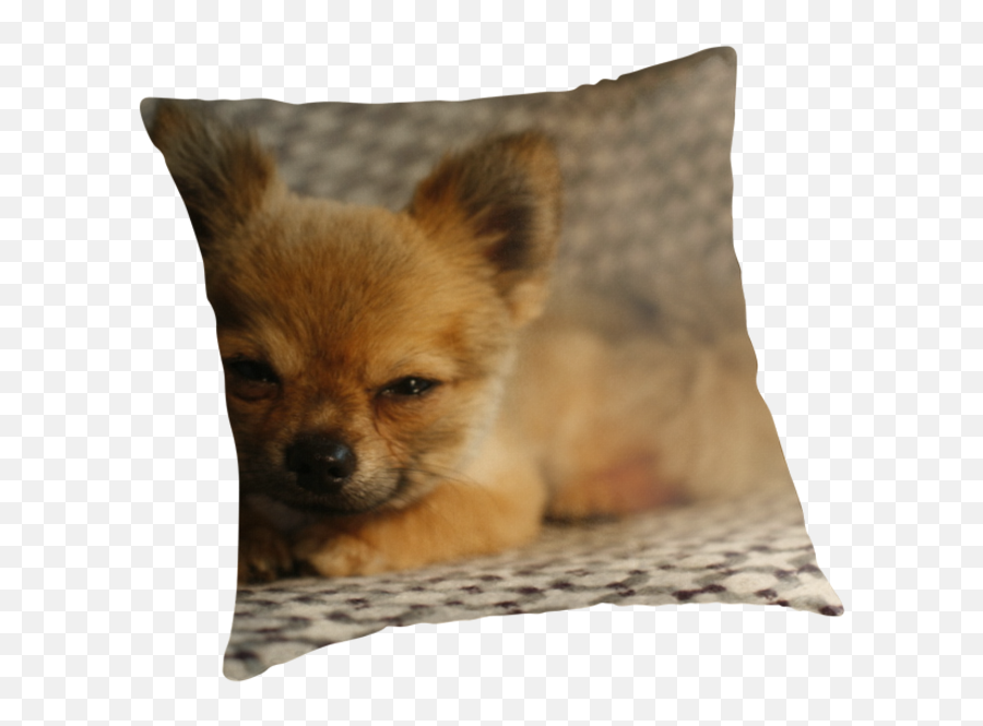 Pin Op Pepe Throw Pillows - Dog Bed Emoji,Emoji Floor Pillow