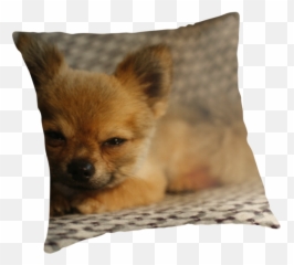 Pin Op Pepe Throw Pillows - Dog Bed Emoji,Emoji Floor Pillow