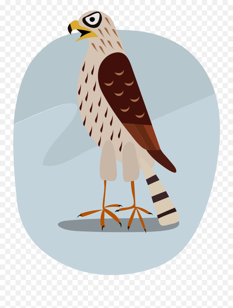 Hawk Clipart - Falcon Emoji,Hawk Emoji