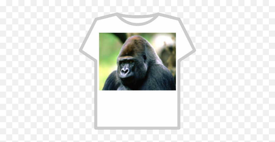 Roblox Codes - Page 1138 Grey Hoodie Roblox T Shirt Emoji,Emoji Movie Monkey