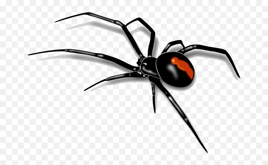 Download Black Widow Spider Transparent Background For - Spider Png Emoji,Kakaotalk Star Wars Emoticon