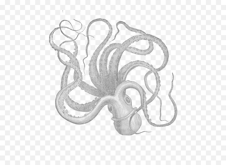 My Octopus Friend The Inky Pocket Emoji,Brain Octopus Emotions