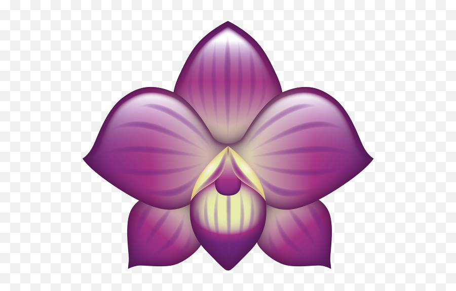 Shecodes Coding Workshops For Women - Moth Orchids Emoji,Blossom Emoji