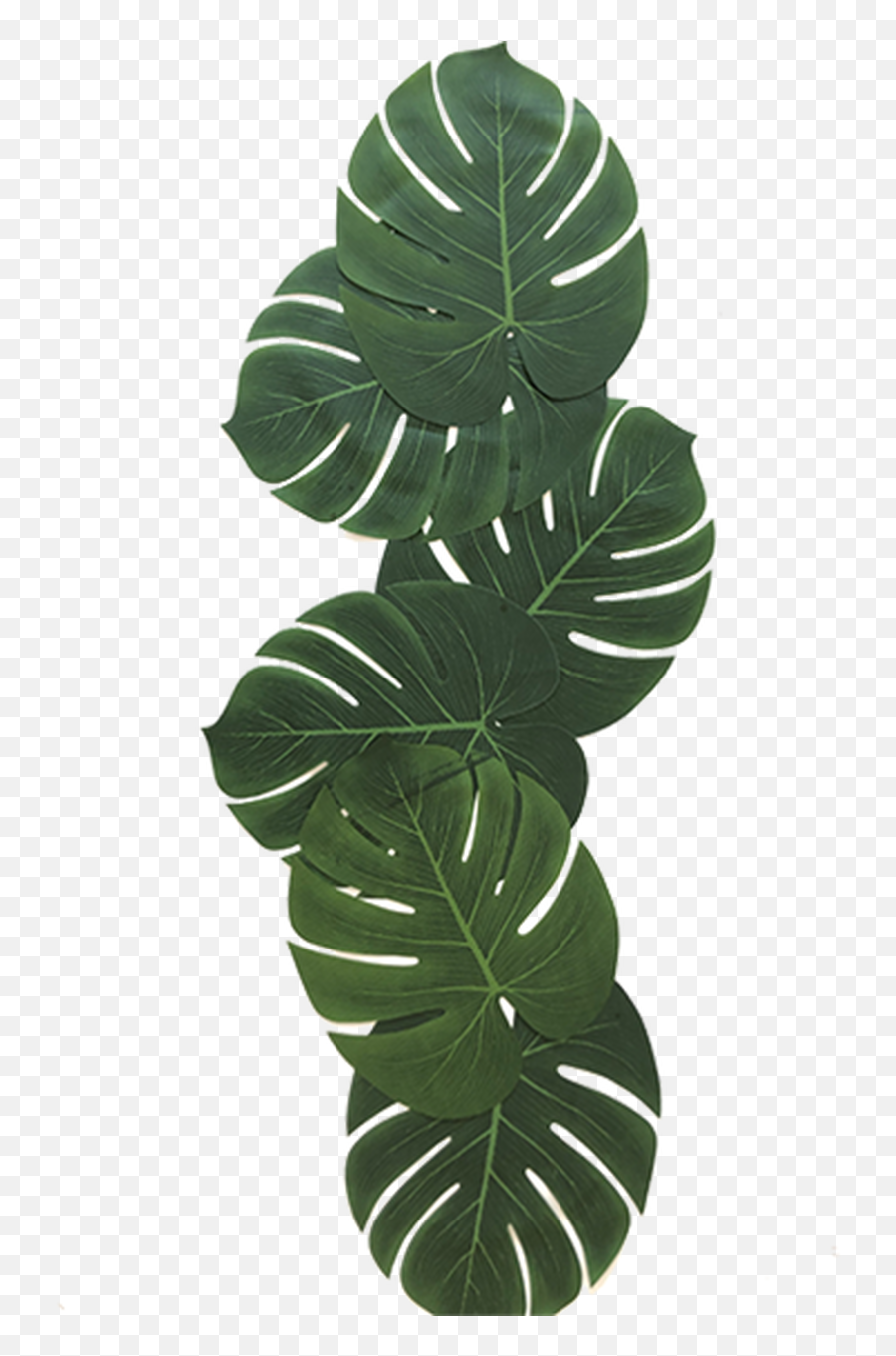 Tropical Leaves - Vertical Emoji,Leaves Emoji Png