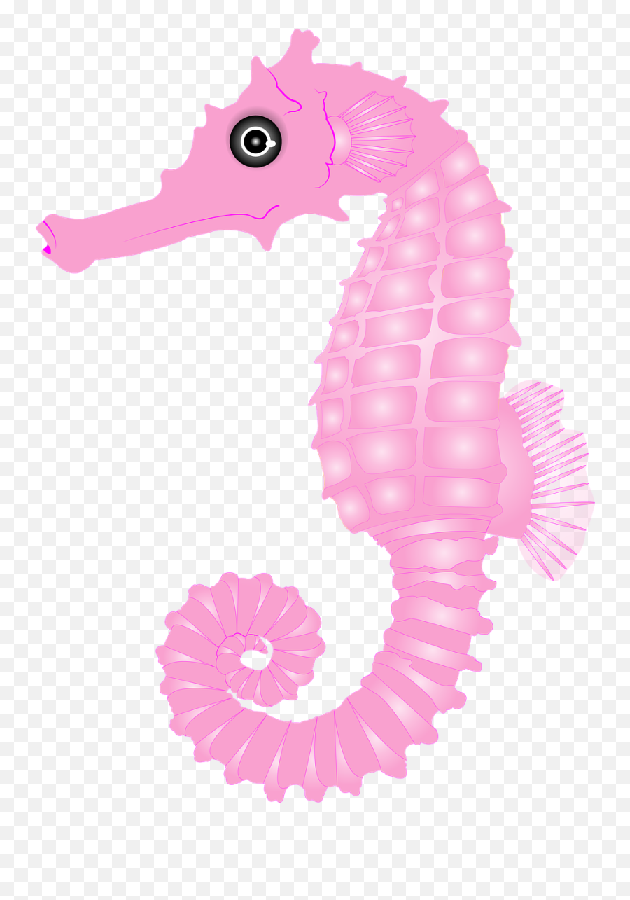 Caballito De Mar Rosa Océano - Caballito De Mar Azul Png Emoji,Tipo De Espanol Sehorse Emoji