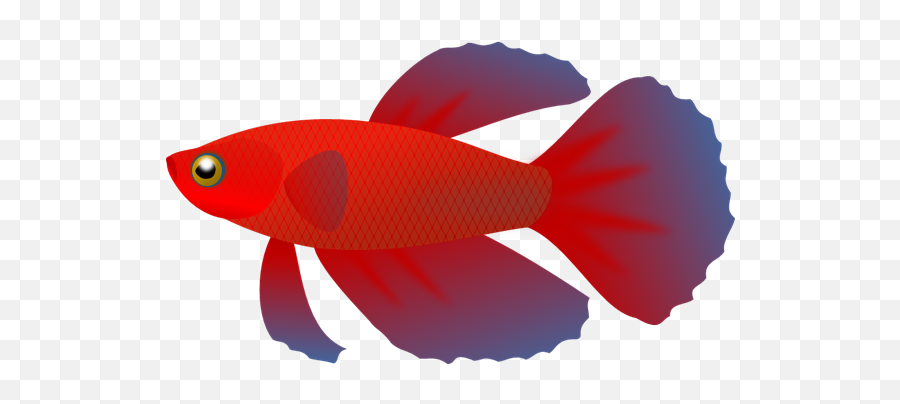 Betta Clipart Emoji,Fish Fighter Animated Emoticon Images