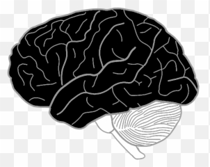 The Brain By Yo On Emaze Emoji,Temporal Lob Emotion