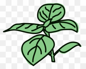 Lemon Basil Sorbet Clipart - Clipart Basil Emoji,Basil Emoji