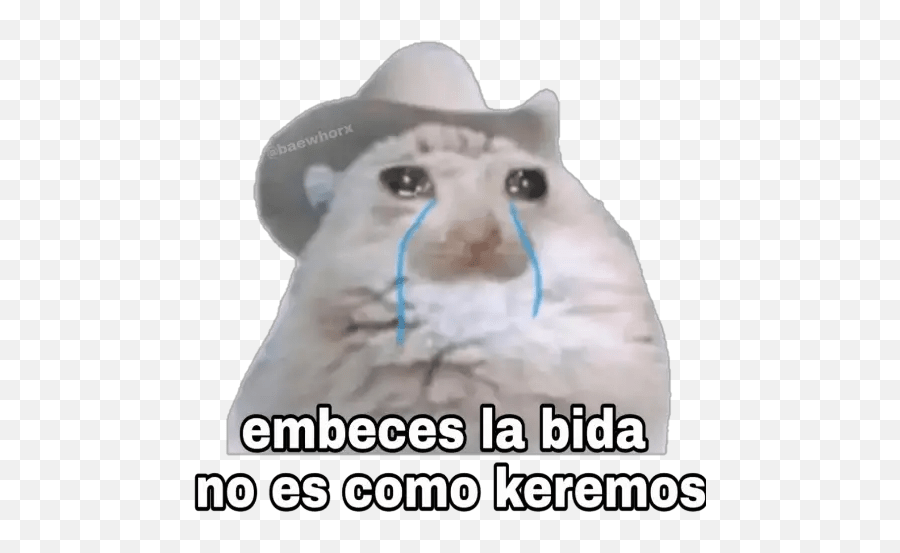 Memes Sad - Sticker Sad Meme Emoji,Sad Emoji With Cowboy Hat