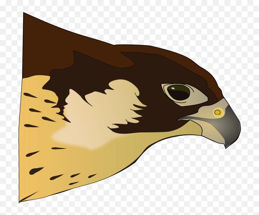 Hawk Clip Art Free 3 - Osprey Head Clipart Emoji,Hawk Emoji