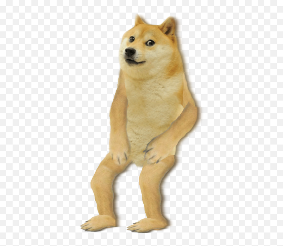 Doge Coin Dog Png - Doge Png Emoji,Shib Inu Emoticon