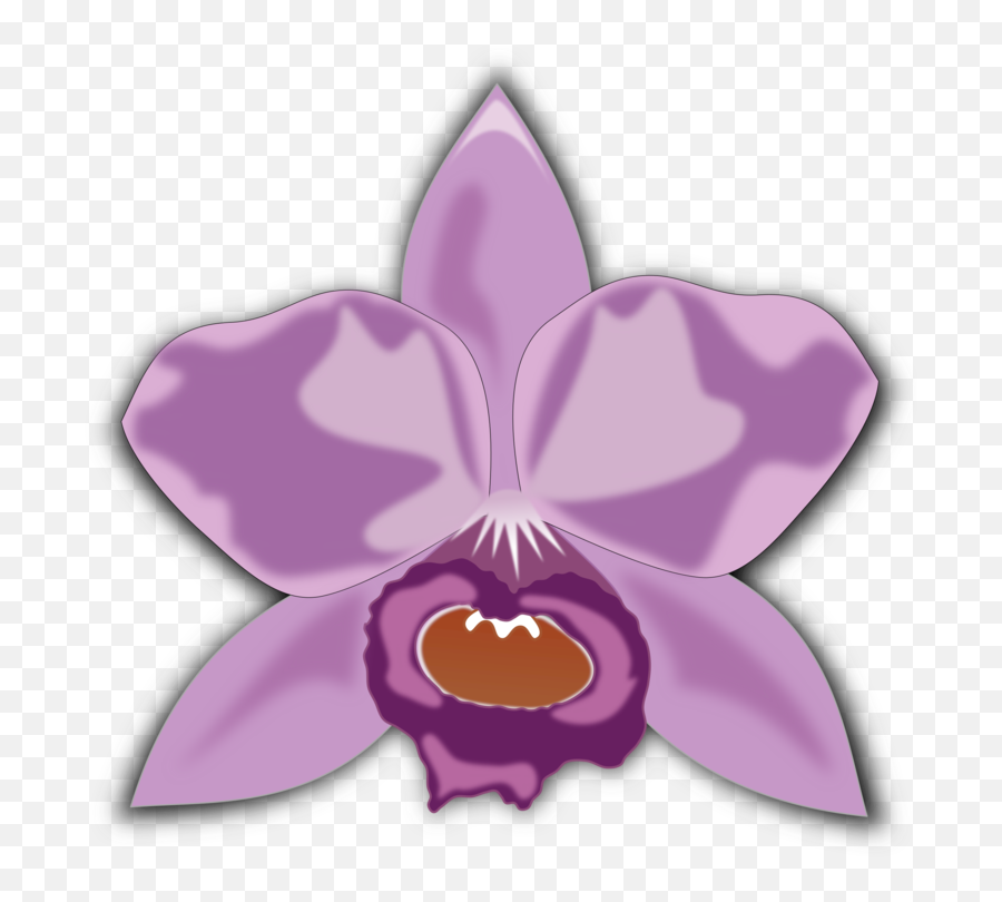 What Dream About Orchid Means - Cattleya Clipart Emoji,Withered Rose Emoji