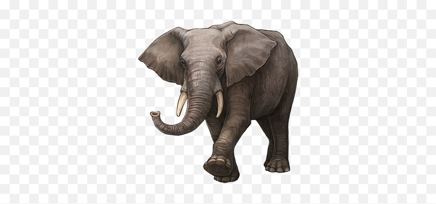 Droughts And - Indian Elephant Emoji,Forsaken World Elephant Emojis