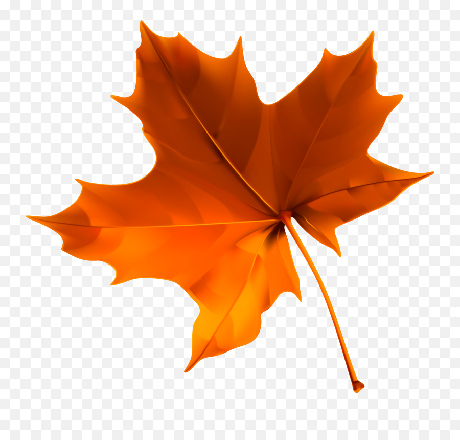 Fall Clipart Leaf Rake Fall Leaf Rake Transparent Free For - Autumn Leaf Clip Art Emoji,Fall Leaf Emoji