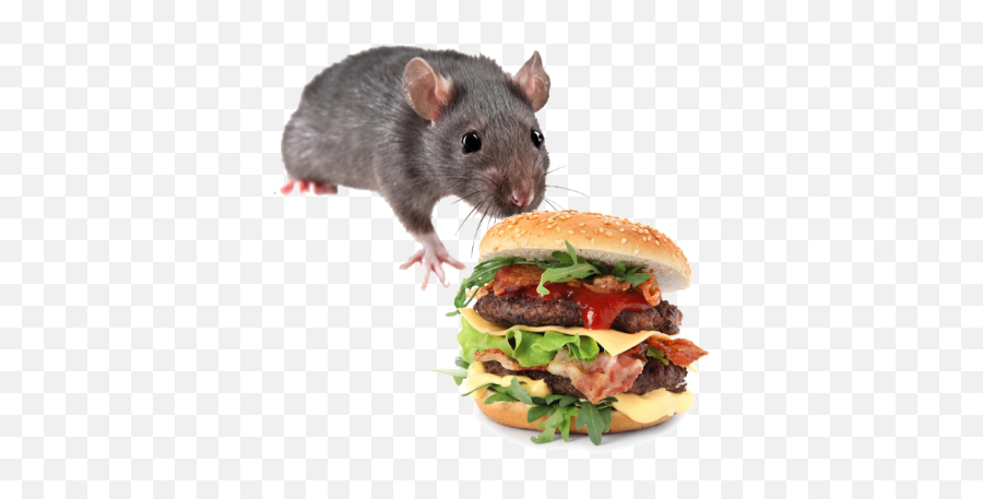 Burger Rats By Gias Ahmed Emoji,Emoji Running And A Burger