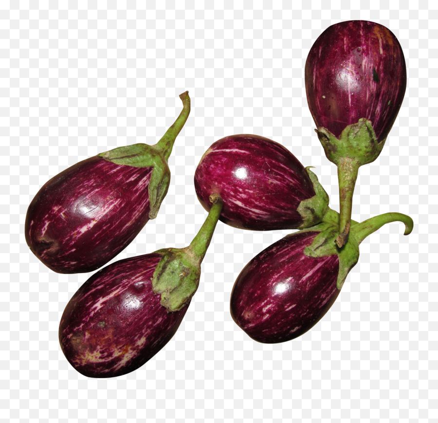 Eggplant Clipart Common Vegetable - Small Brinjal Image Png Emoji,Eggplant Emoji Gifts