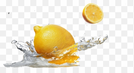 Lemon Sticker By Steampunk Angel - Meyer Lemon Emoji,Lemon Emoji Sticker