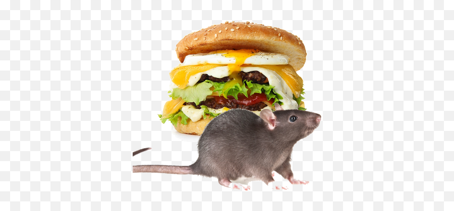 Burger Rats By Gias Ahmed - Brown Rat Emoji,Emojis Burger