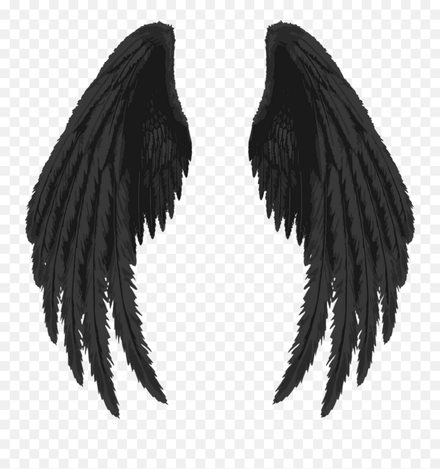 The Most Edited - Black Angel Wings Png Emoji,Huil Emoticon