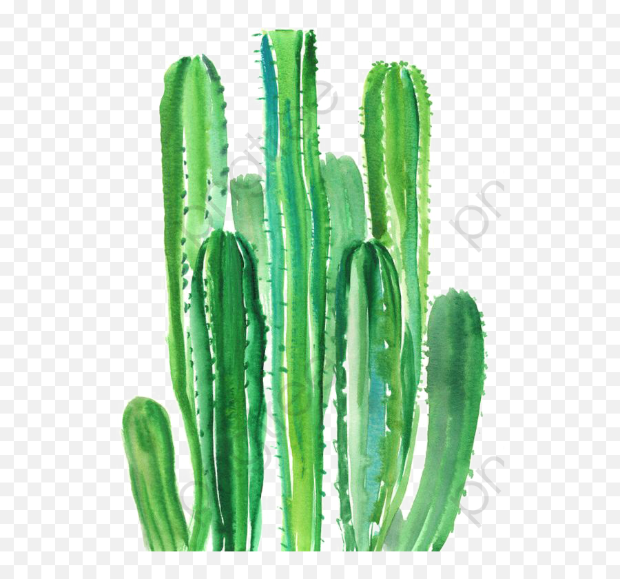 Cactuspng - Cactus Png Pastel Green Watercolor Cactus San Pedro Cactus Emoji,Cactus Art Emoji