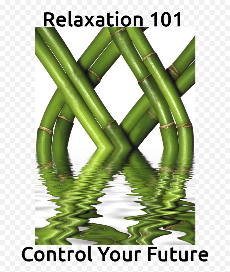 Relaxation For Life - Bamboo Plants Emoji,Control Your Emotions