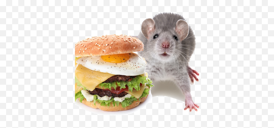 Burger Rats By Gias Ahmed Emoji,Rats Emoji