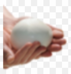 Formaggi Freschi Unu0027esperienza Italiana - Casa Radicci Emoji,Italian Finger Emojis